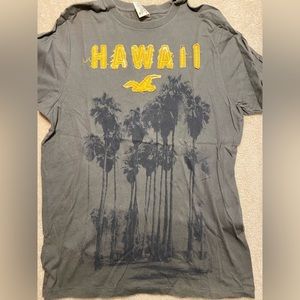 Hollister Co. Shirt